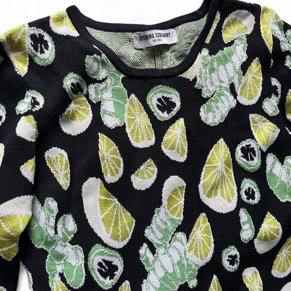 OPENING CEREMONY • jacquard knit bodycon ginger lemon lime jalapeño dress xxs xs - Picture 3 of 8